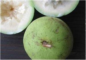 Star Apple (Vú Sữa)